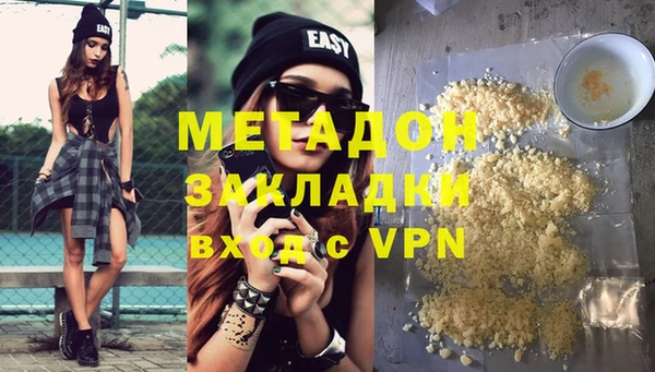 прущие грибы Верхний Тагил
