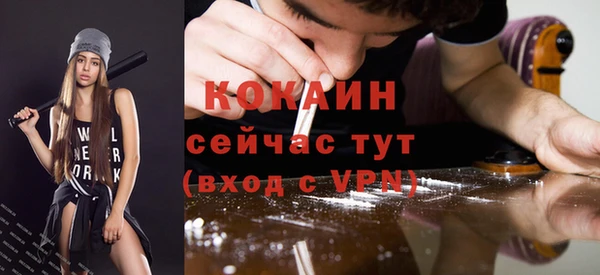 прущие грибы Верхний Тагил