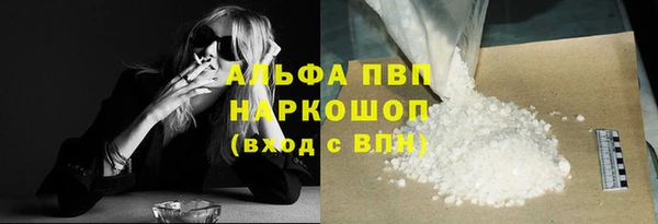 прущие грибы Верхний Тагил