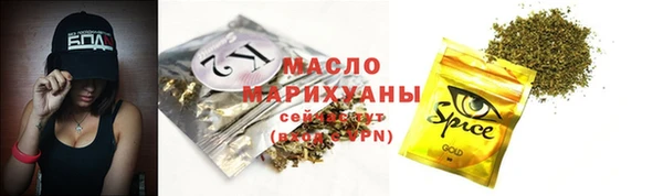 прущие грибы Верхний Тагил