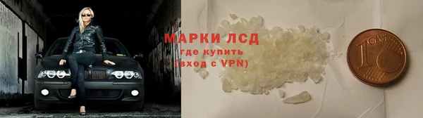 прущие грибы Верхний Тагил