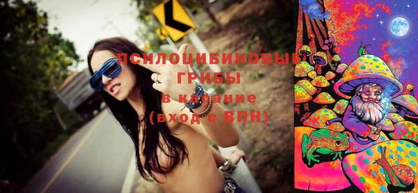 прущие грибы Володарск