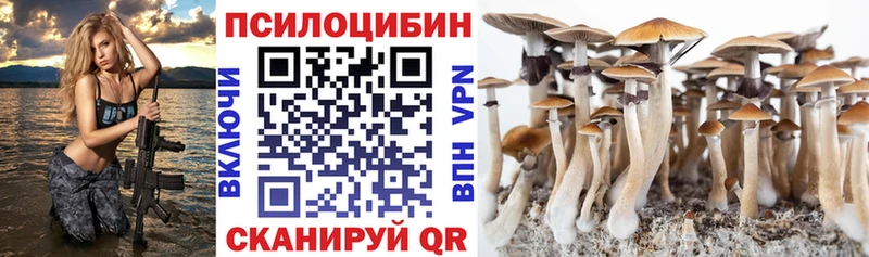 Псилоцибиновые грибы Psilocybe  цены   Коломна 
